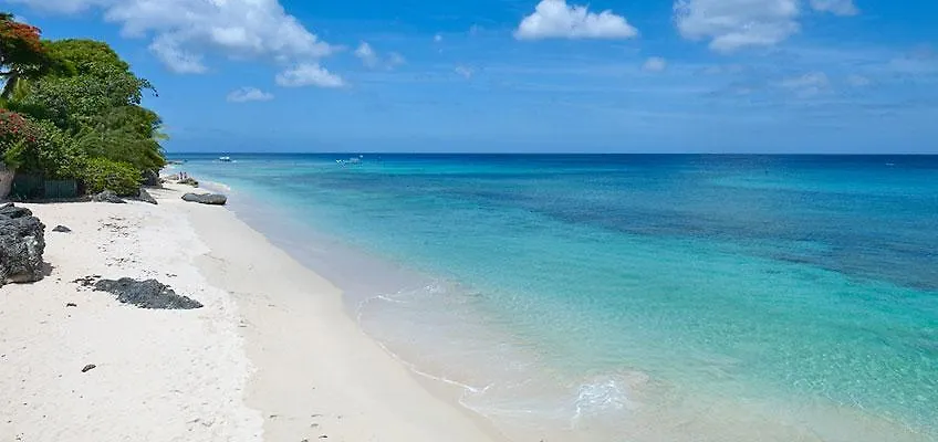 Sandy Cove 201 - Paradise Derricks 0*,  Barbados